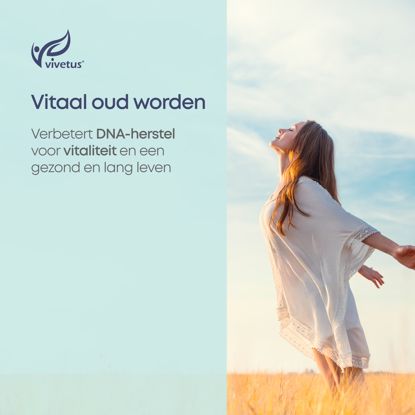 Vivetus® Ptérostilbène - 30 gélules - 500mg