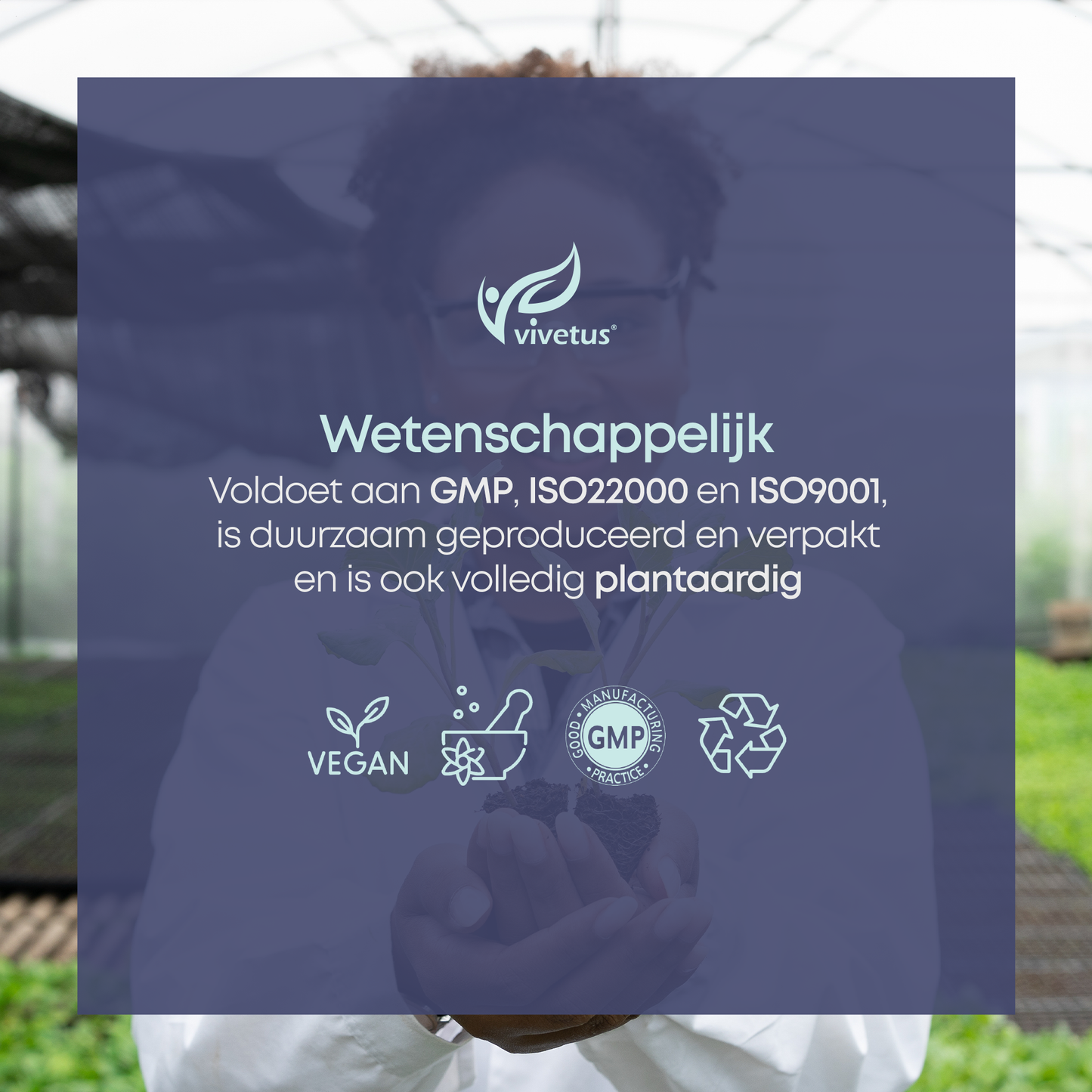 Vivetus® Ptérostilbène - 30 gélules - 500mg