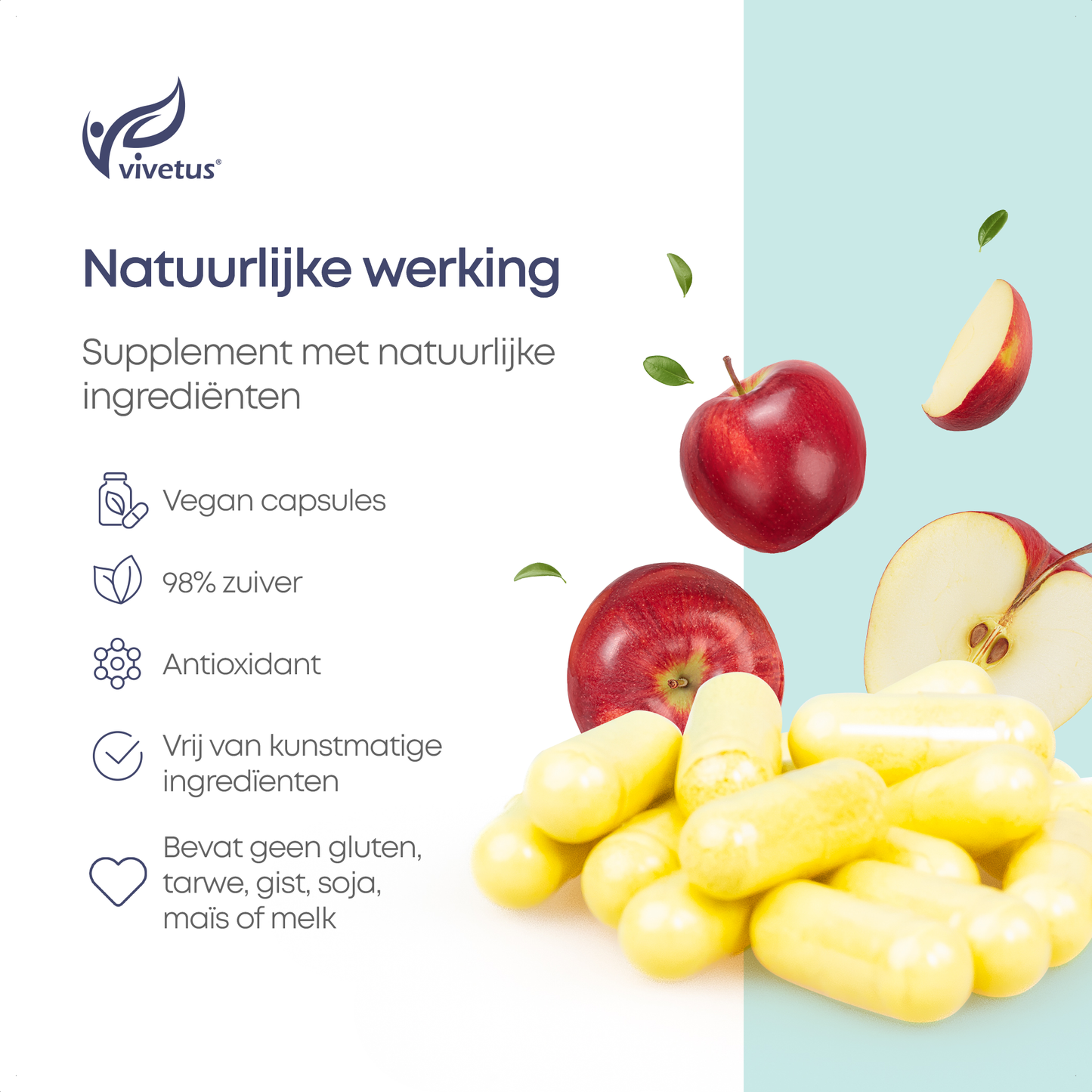 Vivetus® Quercetine - 60 capsules - 500mg